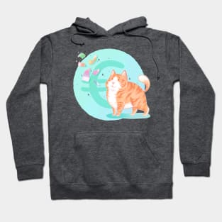 Euro-cat (version with turquoise background) Hoodie